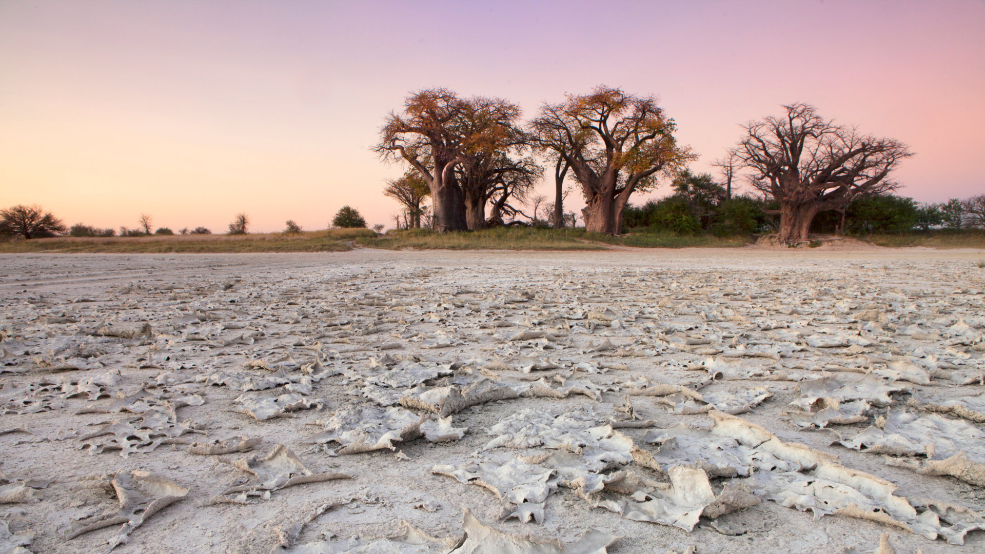 Botswanas Tierparadiese und Naturwunder entdecken
